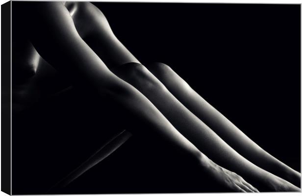 Nude woman bodyscape 48 Canvas Print by Johan Swanepoel