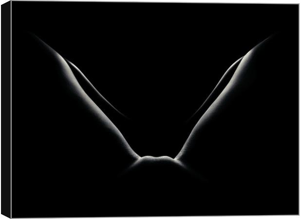 Nude woman bodyscape 50 Canvas Print by Johan Swanepoel