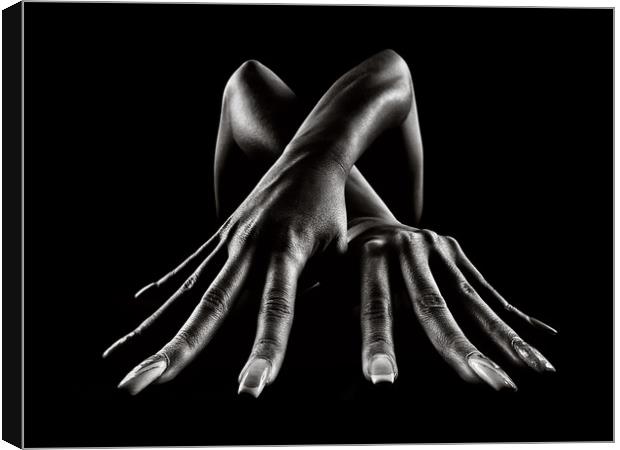 Figurative Body Parts Canvas Print by Johan Swanepoel