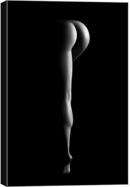 Nude woman bodyscape 38 Canvas Print by Johan Swanepoel