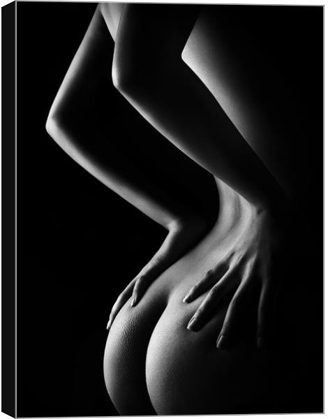 Nude woman bodyscape 39 Canvas Print by Johan Swanepoel