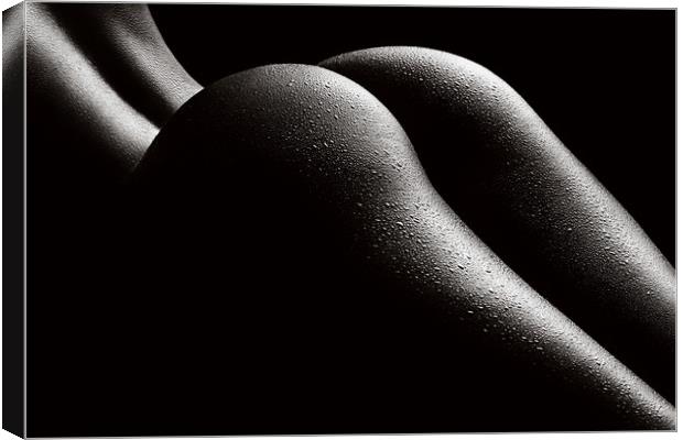 Nude woman bodyscape 43 Canvas Print by Johan Swanepoel