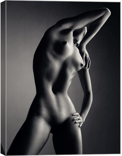 Nude woman fine art 9 Canvas Print by Johan Swanepoel