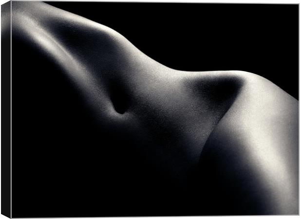 Nude woman bodyscape 52 Canvas Print by Johan Swanepoel