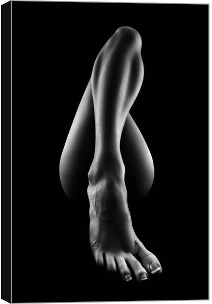 Nude woman bodyscape 56 Canvas Print by Johan Swanepoel