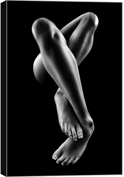 Nude woman bodyscape 57 Canvas Print by Johan Swanepoel