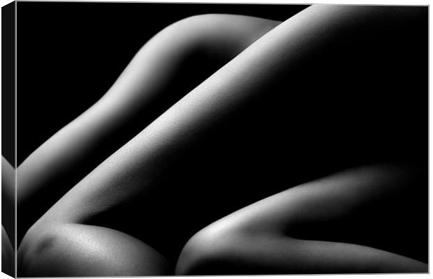 Nude woman bodyscape 58 Canvas Print by Johan Swanepoel