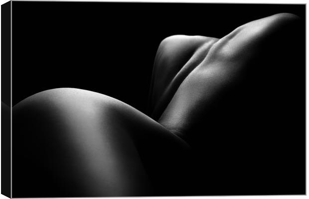 Nude woman bodyscape 61 Canvas Print by Johan Swanepoel