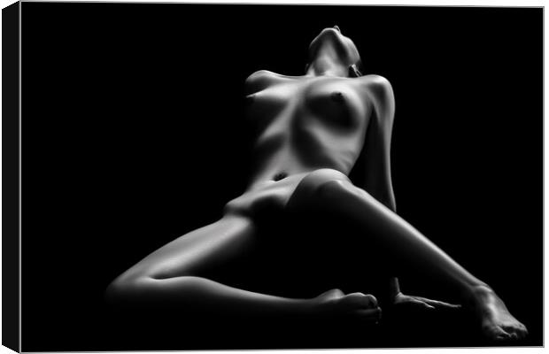 Nude woman bodyscape 69 Canvas Print by Johan Swanepoel