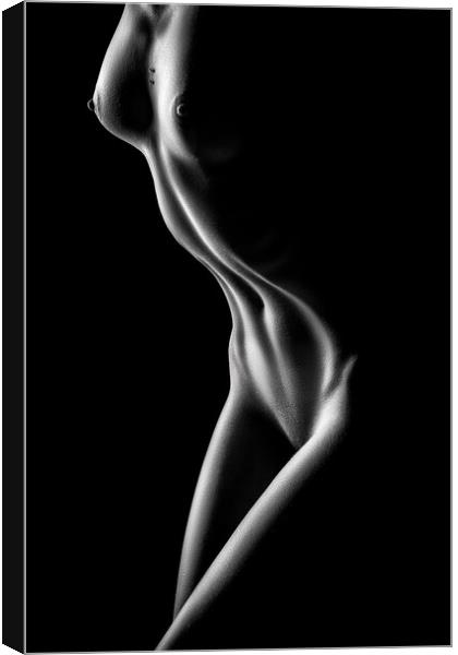 Nude woman bodyscape 71 Canvas Print by Johan Swanepoel