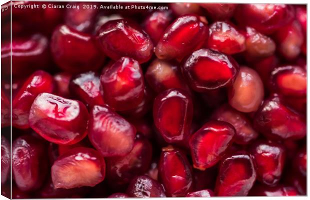 Pomegranate  Canvas Print by Ciaran Craig