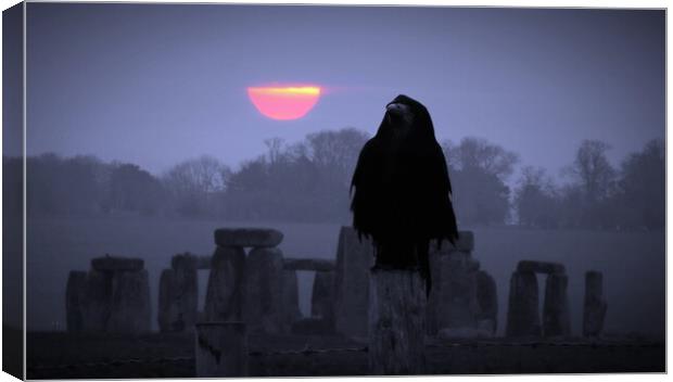 Guardian of The Stones Canvas Print by David Neighbour