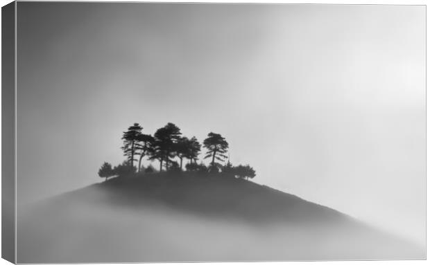 Colmer's Hill B&W Canvas Print by David Neighbour