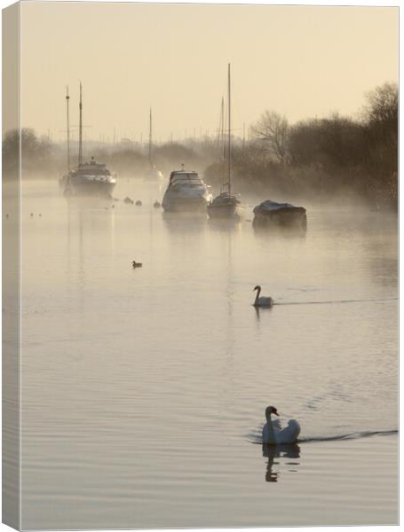 Tranquility at the Quay Canvas Print by David Neighbour