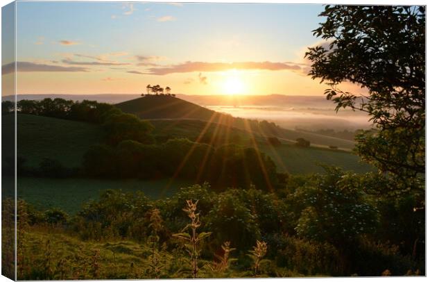 Summer at Colmer's Hill Canvas Print by David Neighbour