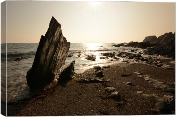 Ayrmer Cove Canvas Print by David Neighbour