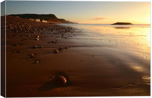 Sidmouth Cobbles Canvas Print by David Neighbour