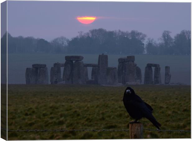 Stones and Crows Canvas Print by David Neighbour