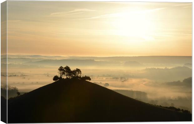 Bronze Mists Canvas Print by David Neighbour