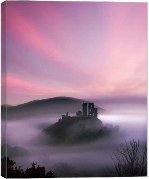 Corfe in the Pink Canvas Print by David Neighbour
