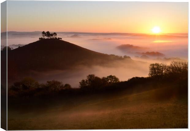 Colmer's Hill Sunrise Canvas Print by David Neighbour