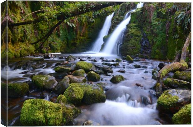 Venford double waterfall Canvas Print by David Neighbour