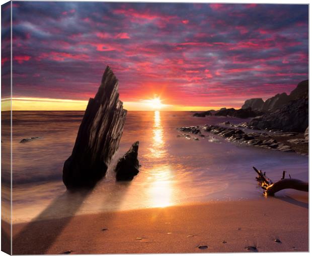 Ayrmer Sunset Canvas Print by David Neighbour