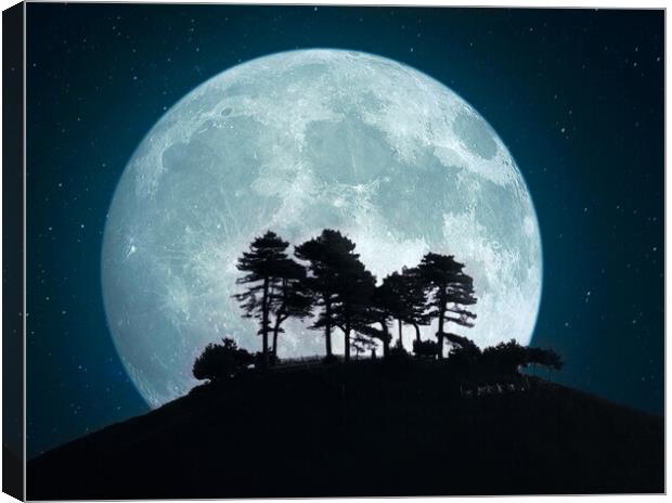 Colmer's Blue Moon Canvas Print by David Neighbour