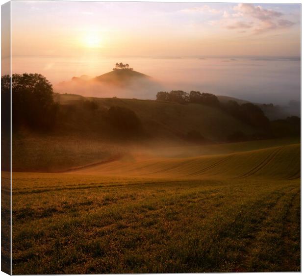 Rolling Hills and Autumn Mists Canvas Print by David Neighbour