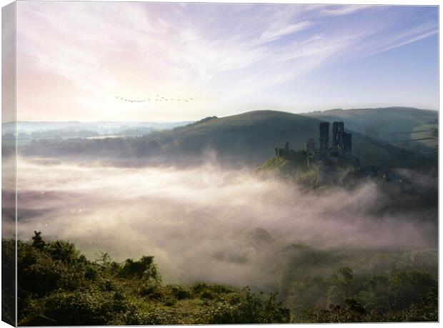 Fresh New Day at Corfe Castle Canvas Print by David Neighbour