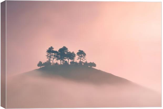 Trees in the Mist Canvas Print by David Neighbour