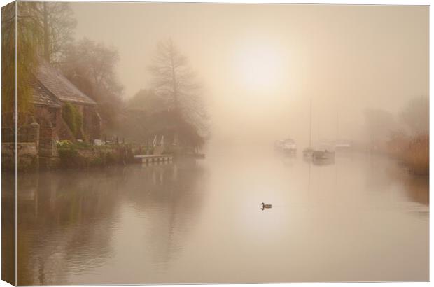 Misty Quay Canvas Print by David Neighbour