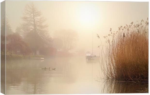 Wareham Mists Landscape Crop Canvas Print by David Neighbour