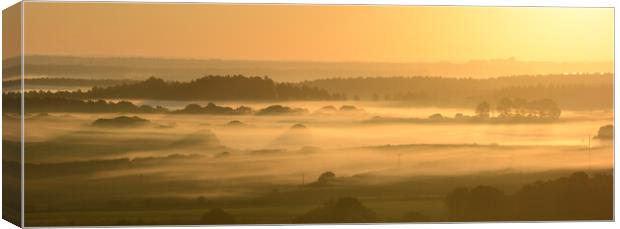 Dorset Misty Vista Canvas Print by David Neighbour