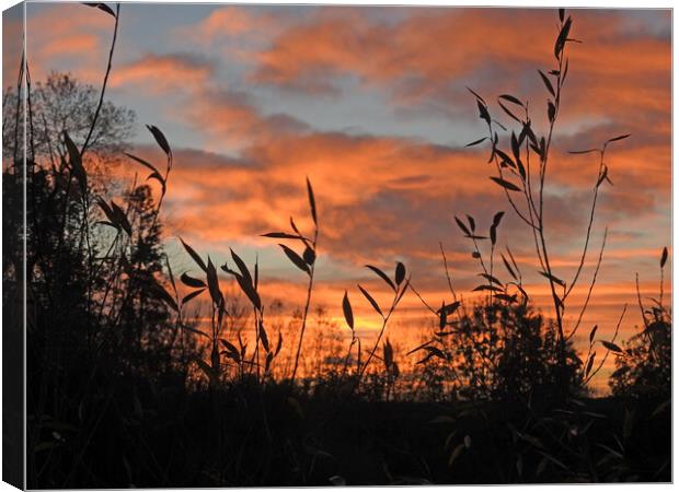 Sunset over Darlington Canvas Print by Pauline Raine