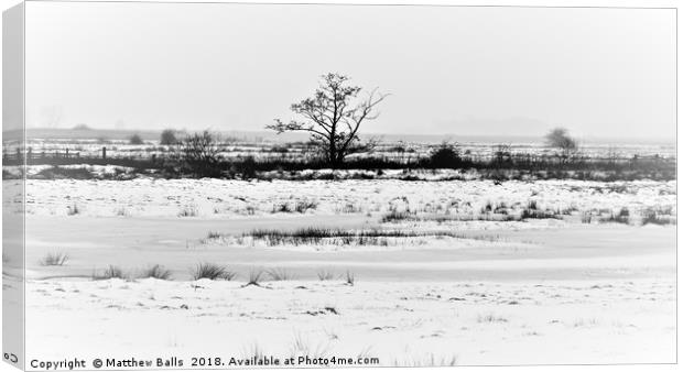                                A Winter White Out Canvas Print by Matthew Balls