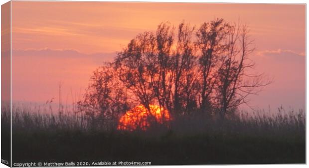 Sunset begind a tree Canvas Print by Matthew Balls
