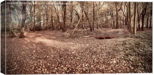 Lost in the woods  Canvas Print by Matthew Balls