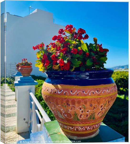 Spanish Ceramic Pot Canvas Print by Ailsa Darragh