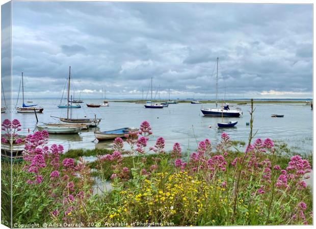  Boats in Old Leigh, Leigh on Sea Canvas Print by Ailsa Darragh