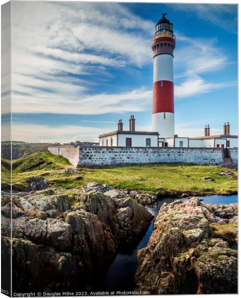 Buchan Ness Lighthouse in the Sunshine Canvas Print by Douglas Milne