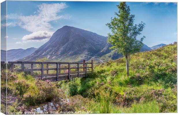 Buachaille Etive Mòr from The Devil's Staircase Canvas Print by Douglas Milne