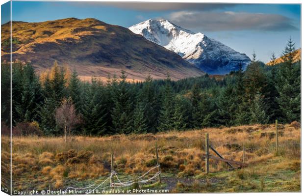 Ben Lui from Dalrigh Canvas Print by Douglas Milne