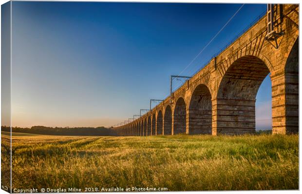 The Almond Valley Viaduct Canvas Print by Douglas Milne