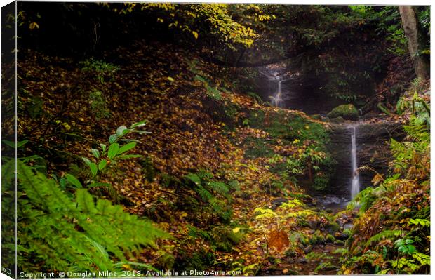 Carriden Falls, Bo'ness Canvas Print by Douglas Milne