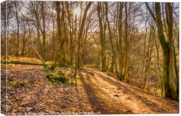 The Darn Road Canvas Print by Douglas Milne