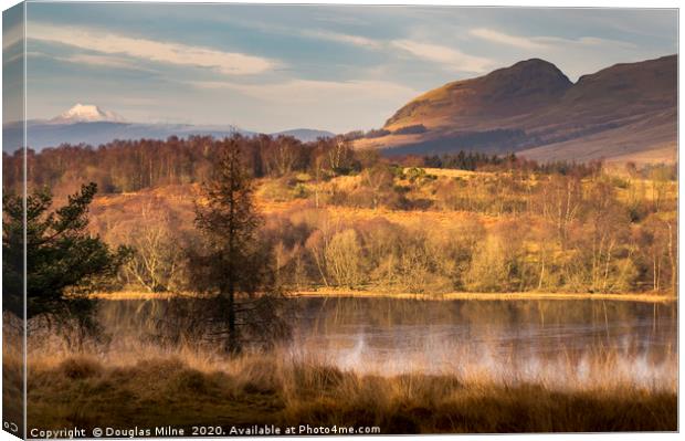 Loch Ardinning Canvas Print by Douglas Milne