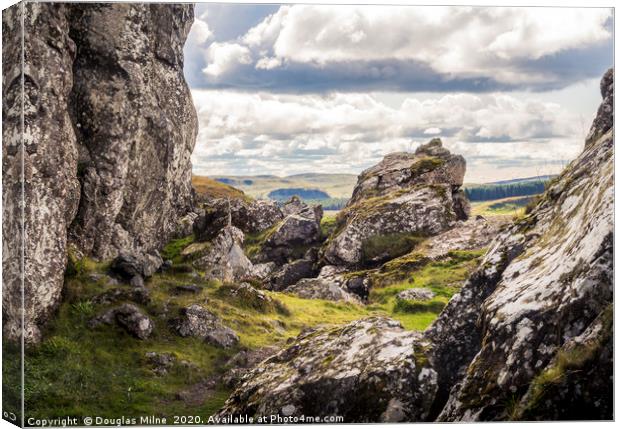 Rock Pinnacles, The Whangie Canvas Print by Douglas Milne