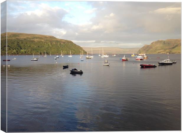 Portree harbour  Canvas Print by George Greenall
