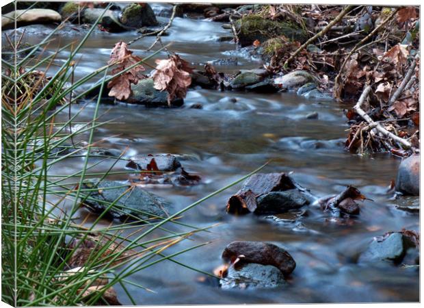 Silky brook  Canvas Print by George Greenall